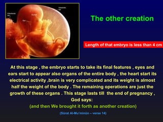 How Human Create Creation human - Amazing PowerPoint | PPS