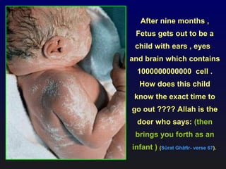 After nine months ,
Fetus gets out to be a
child with ears , eyes
and brain which contains
1000000000000 cell .
How does this child
know the exact time to
go out ???? Allah is the
doer who says: (then
brings you forth as an
infant ) (Sûrat Ghâfir- verse 67).
 