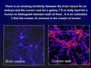 There is an amazing similarity between the brain weave for an
embryo and the cosmic web for a galaxy !! It is really hard for a
human to distinguish between both of them . It is an indication
that the creator of universe is the creator of human!!
Brain weaveBrain weave Cosmic webCosmic web
 