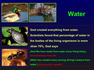Water
God created everything from water.
Scientists found that percentage of water in
the bodies of the living organisms is more
than 70%, God says:
(And We have made from water every living thing )
Sûrat Al-Anbiyâ-’Verse 30)
(Allah has created every moving (living) creature from
water ) (Sûrat An-Nûr- verse45)
 