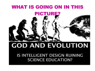 WHAT IS GOING ON IN THIS PICTURE? 