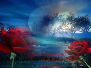 Il est d’étranges soirs
où les fleurs
ont une âme …
 