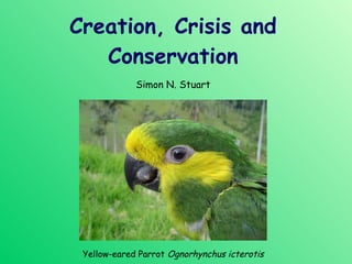 Creation, Crisis and Conservation Simon N. Stuart Yellow-eared Parrot  Ognorhynchus icterotis 