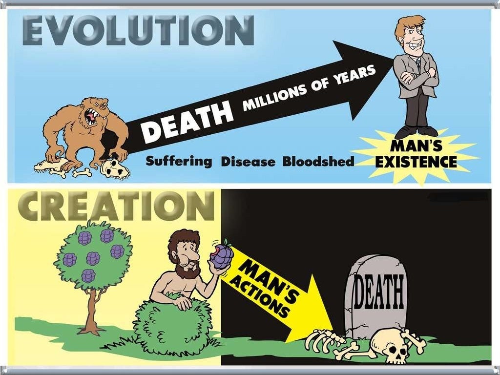 Creation vs Evolution