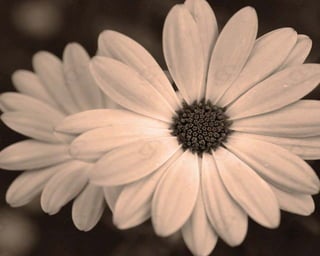 Créations Graphiques mars 2013