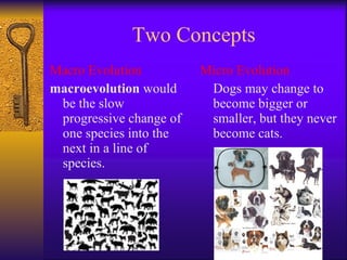 Two Concepts Macro Evolution macroevolution  would be the slow progressive change of one species into the next in a line of species. Micro Evolution Dogs may change to become bigger or smaller, but they never become cats. 