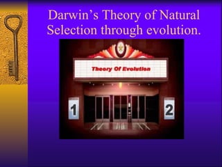 Darwin’s Theory of Natural Selection through evolution. 