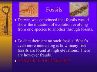 Fossils Darwin was convinced that fossils would show the mutation of evolution evolving from one species to another through fossils. To date there are no such fossils. What’s even more interesting is how many fish fossils are found at high elevations. There are however frauds. ANSWER: FLOOD MAYBE? 