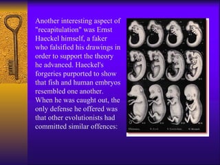 Another interesting aspect of "recapitulation" was Ernst Haeckel himself, a faker who falsified his drawings in order to support the theory he advanced. Haeckel's forgeries purported to show that fish and human embryos resembled one another. When he was caught out, the only defense he offered was that other evolutionists had committed similar offences: 