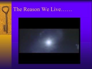The Reason We Live…… 