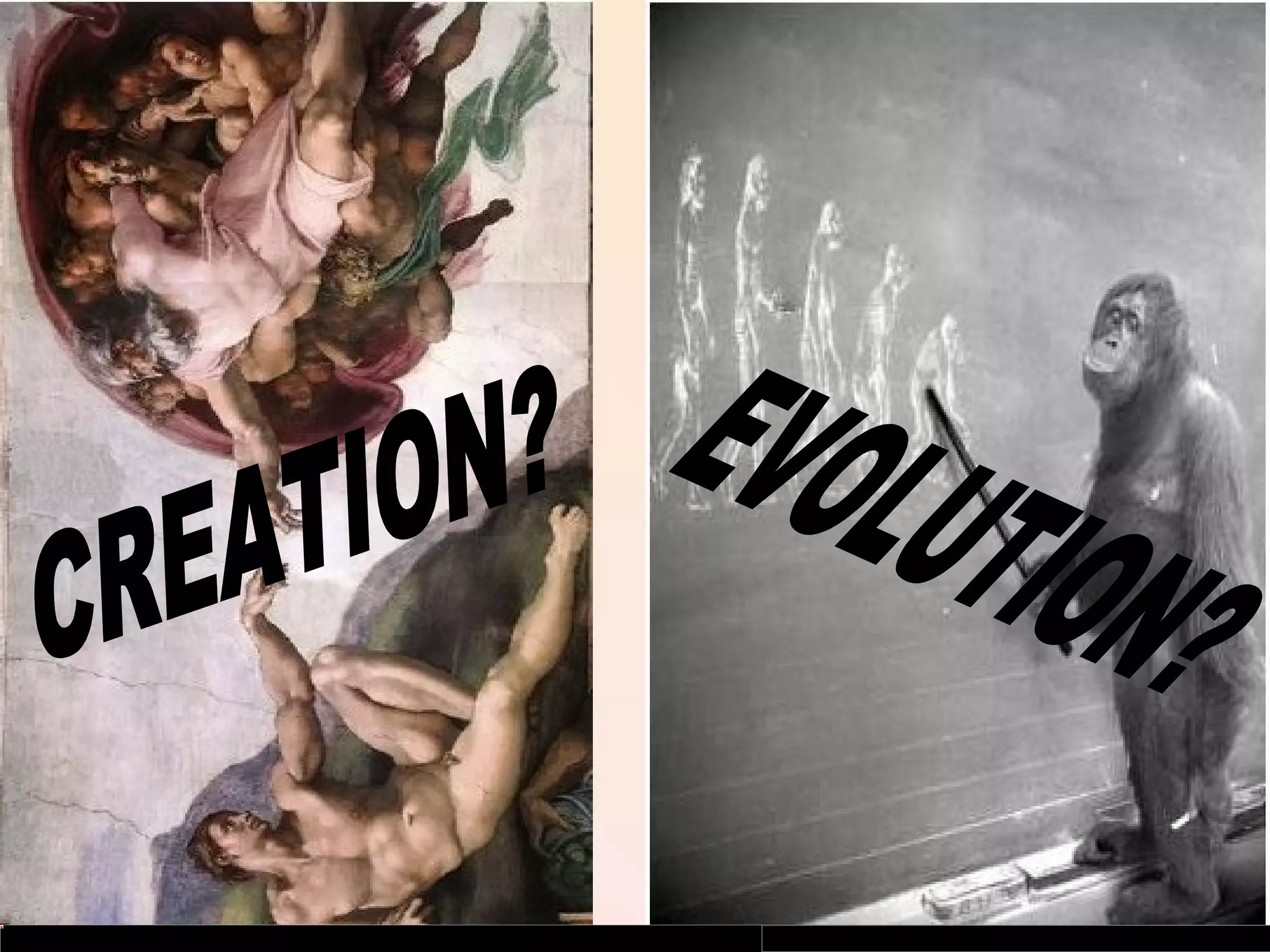 Creationism vs Evolution | PPT | Christianity | Religion & Spirituality