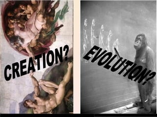 CREATION? EVOLUTION? 