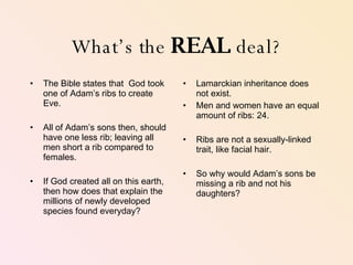 What’s the  REAL  deal? The Bible states that  God took one of Adam’s ribs to create Eve. All of Adam’s sons then, should have one less rib; leaving all men short a rib compared to females.  If God created all on this earth, then how does that explain the millions of newly developed species found everyday? Lamarckian inheritance does not exist.  Men and women have an equal amount of ribs: 24.  Ribs are not a sexually-linked trait, like facial hair.  So why would Adam’s sons be missing a rib and not his daughters?  