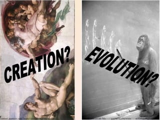 CREATION? EVOLUTION? 