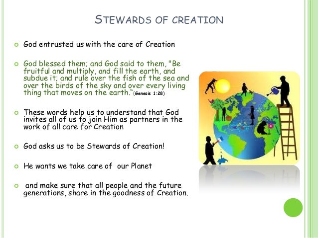 Creation Lesson 3 Creation Lesson 3