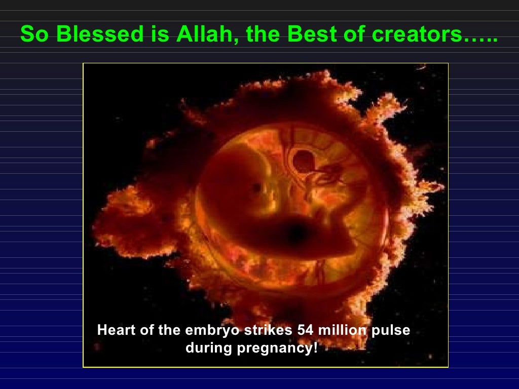 Creation of human ( an ebm of what written 1431 year ago in quran )