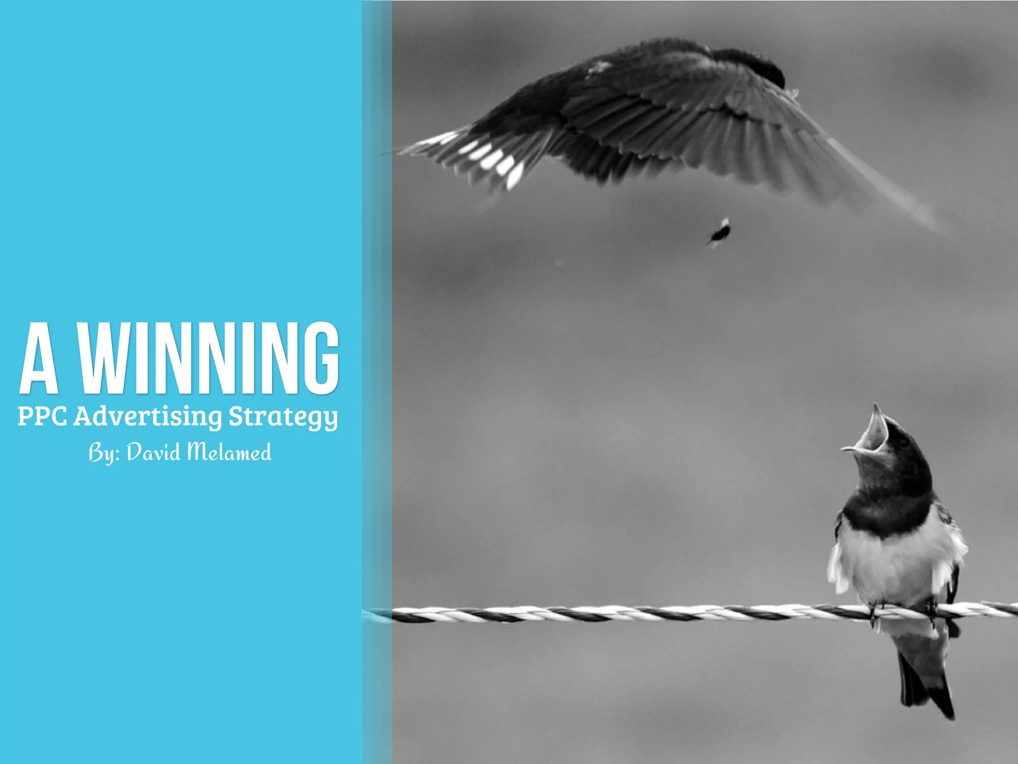 a Winning
By: David Melamed
PPC Advertising Strategy