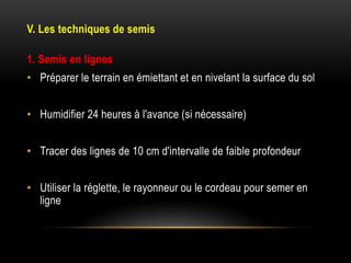 V. Les techniques de semis
1. Semis en lignes
• Préparer le terrain en émiettant et en nivelant la surface du sol
• Humidifier 24 heures à l'avance (si nécessaire)
• Tracer des lignes de 10 cm d'intervalle de faible profondeur
• Utiliser la réglette, le rayonneur ou le cordeau pour semer en
ligne
 