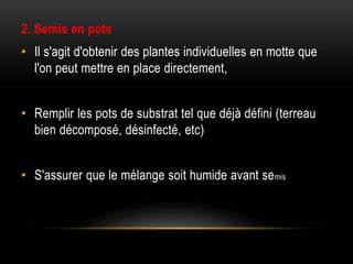 2. Semis en pots
• Il s'agit d'obtenir des plantes individuelles en motte que
l'on peut mettre en place directement,
• Remplir les pots de substrat tel que déjà défini (terreau
bien décomposé, désinfecté, etc)
• S'assurer que le mélange soit humide avant semis
 