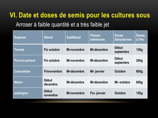 VI. Date et doses de semis pour les cultures sous
Espèces littoral Sublittoral
Plaines
intérieures
Zones
Sahariennes
Doses
à l'Ha
Tomate Fin octobre Mi-novembre Mi-décembre
Début
septembre
150g
Poivron-piment Fin octobre Mi-novembre Mi-décembre
Début
septembre
200g
Concombre Finnovembre Mi-décembre Mi- janvier Octobre 600g
Melon
Début
décembre
Mi-décembre Mi-décembre Mi- octobre 600g
aubergine
Début
novembre
Mi-novembre Fin- janvier Octobre 150g
Arroser à faible quantité et a très faible jet
 