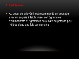 2. Fertilisation
• Au début de la levée il est recommandé un arrosage
avec un engrais à faible dose, soit 5grammes
d'ammonitrate et 5grammes de sulfate de potasse pour
10litres d'eau une fois par semaine
 