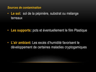 Sources de contamination
• Le sol: sol de la pépinière, substrat ou mélange
terreaux
• Les supports: pots et éventuellement le film Plastique
• L’air ambiant: Les excès d’humidité favorisent le
développement de certaines maladies cryptogamiques
 