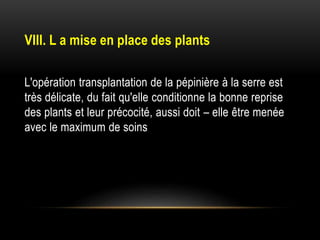 VIII. L a mise en place des plants
L'opération transplantation de la pépinière à la serre est
très délicate, du fait qu'elle conditionne la bonne reprise
des plants et leur précocité, aussi doit – elle être menée
avec le maximum de soins
 