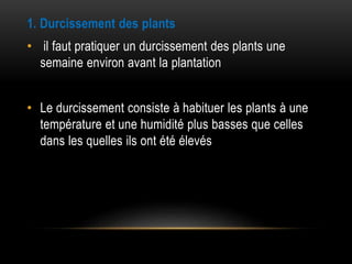 1. Durcissement des plants
• il faut pratiquer un durcissement des plants une
semaine environ avant la plantation
• Le durcissement consiste à habituer les plants à une
température et une humidité plus basses que celles
dans les quelles ils ont été élevés
 