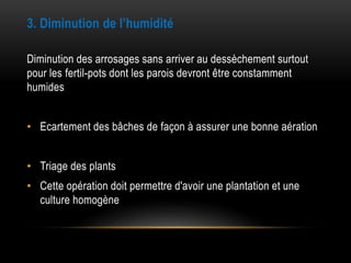 3. Diminution de l’humidité
Diminution des arrosages sans arriver au dessèchement surtout
pour les fertil-pots dont les parois devront être constamment
humides
• Ecartement des bâches de façon à assurer une bonne aération
• Triage des plants
• Cette opération doit permettre d'avoir une plantation et une
culture homogène
 