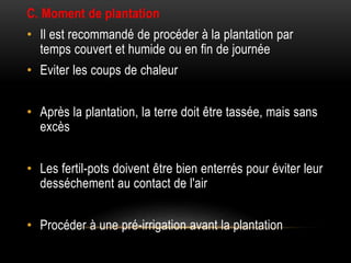 C. Moment de plantation
• Il est recommandé de procéder à la plantation par
temps couvert et humide ou en fin de journée
• Eviter les coups de chaleur
• Après la plantation, la terre doit être tassée, mais sans
excès
• Les fertil-pots doivent être bien enterrés pour éviter leur
desséchement au contact de l'air
• Procéder à une pré-irrigation avant la plantation
 