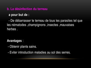 b. La désinfection du terreau
a pour but de :
- De débarrasser le terreau de tous les parasites tel que
les nématodes ,champignons ,insectes ,mauvaises
herbes .
Avantages :
- Obtenir plants sains.
- Eviter introduction maladies au sol des serres.
 
