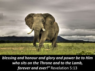 God created all the animals (Psalm 104).
 