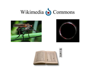 Wikimedia  Commons 