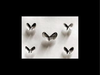 Creative Photos by Chema Madoz Part 1