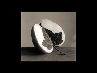 Creative Photos by Chema Madoz Part 1
