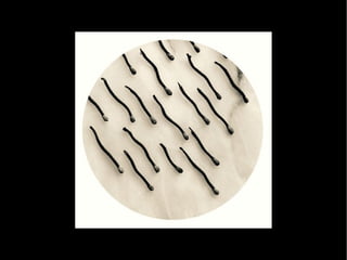 Creative Photos by Chema Madoz Part 1