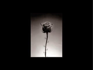 Creative Photos by Chema Madoz Part 1