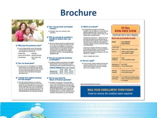 Brochure
 