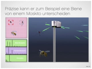 Präzise kann er zum Beispiel eine Biene
von einem Moskito unterscheiden




                                          Slide 24
 