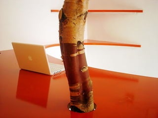 Creative Workplaces