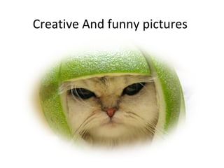 Creative And funny pictures 