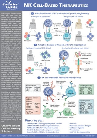 © 2007 - 2019 Creative-Biolabs All Rights Reserved Email: info@creative-biolabs.com Tel: 1-631-381-2994
NK CELL-BASED THERAPEUTICS
Products:
Diseases Associated Antigen
CAR Vector System
Viral Particle
CAR/TCR Development Kits
One-Stop CAR-T Therapy Development Services
CAR Modified NK Cell Development Services
TCR Modified T Cell Development Services
Dendritic Cell Vaccine Development Services
Bispecific TCR & TCR-Like Antibody Services
WHAT WE DO:
Adoptive transfer of NK cells without genetic engineering1
Autologous NK cell transfer
Autologous transfer of CAR-NK cell Structural and functional basis of CAR
Adoptive transfer of NK cells with CAR modification2
NK cell-mediated molecular therapeutics3
In autologous transfer, natural
killer (NK) cells from the
patient are activated and
expanded in vitro in the
presence of cytokines. Feeder
cellsare often used. The
expanded and activated NK
cells are then transferred back
into the patient, who generally
receives cytokine administra-
tion to sustain the expansion
and function of the infused NK
cells. Although autologous NK
cells might recognize activat-
ing signals such as stress
molecules on cancer cells,
their anti-tumor activity is
limited by the inhibitory signal
transmitted by self HLA mole-
cules. In allogeneic transfer,
NK cells can be obtained from
HLA-matched or haploidenti-
cal donors. NK cells are
expanded but T cells should
be removed to avoid GVHD. In
this setting, the best respons-
es are obtained when
haploidentical donors do not
express KIRs that recognize
the patient’s HLA molecules.
Chimeric antigen receptors
(CARs) can be engineered in
autologous or allogeneic NK
cells or in NK cell lines. CARs
are designed by the fusion an
antigen-binding domain with a
hinge region, a transmem-
brane domain and one or
more stimulatory molecules.
In addition to adoptive trans-
fer, NK cells are also involved
in molecular based therapies.
Stimulatory cytokines, small
molecule activators/inhibitors,
monoclonal antibodies (mAbs)
including bispecific antibodies
(bsAbs), and antibody-drug
conjugates (ADCs) are utilized
to target inhibitory/activating
receptors/ligands, tumor
antigens, immuno-suppres-
sive molecules, and the tumor
microenvironment, to improve
the anti-tumor activity of NK
cells.
Creative Biolabs
Cellular Therapy
Solutions
CAR
vectors
CAR-NK cells
Monocytes
Monocytes NK cells
Monocytes
NK cells
NK cells
Tumor
antigenTumor cell
Antigen-binding
region (scFv)
VH
VL
Hinge region
Transmembrane
region
Signal transduction
region
NK
cell
Tumor cell
Mismatch
Tumor cell
Patient KIR
NK
cell
Patient HLA
+
–
Match
Donor KIR
NK
cell
+
Treatment with
stimulatory cytokines
• IL-2 IL-15
IL-12 IL-18•
•
•
Inhibitory
Activating
Targeting NK cell
receptors
• KIR2DL NKG2A
PD-1 LAG3
TIGIT TIM3
GITR 4-1BB
•
•
•
• CD70 CD27
SLAMF7•
•
•
•
•
•
Targeting the tumor
microenvironment
• PDL1 TGFβ
IDO CD39
CD73 C5aR
MICA MICB
•
•
•
•
•
•
•
Targeting tumor
antigens
• SLAMF7 CD27
EGFR CD70
NKp46 B7-H6
MICA MICB
CD30-CD16
CD33-CD16
EGFR-CD16
•
•
•
•
•
•
•
•
•
•
Allogeneic NK cell transfer
Patient
Patient
Patient
Donor
Tumor cell
NK
cell
Block inhibitory
NK receptor
Stimulate
activating
NK receptor
Masking inhibitory ligands
Neutralize
immuno-
suppressive
molecules
Induce
ADCC
ADC
bsAb-mediated
conjugation
CD16
+ +
Treg
cell
MDSC
––
 