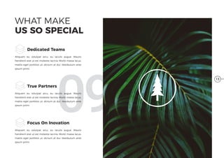 09
WHAT MAKE
US SO SPECIAL
Aliquam eu volutpat arcu, eu iaculis augue. Mauris
hendrerit erat ut est molestie lacinia. Morbi massa lacus,
mattis eget porttitor ut, dictum at dui. Vestibulum ante
ipsum primi.
Dedicated Teams
Aliquam eu volutpat arcu, eu iaculis augue. Mauris
hendrerit erat ut est molestie lacinia. Morbi massa lacus,
mattis eget porttitor ut, dictum at dui. Vestibulum ante
ipsum primi.
True Partners
Aliquam eu volutpat arcu, eu iaculis augue. Mauris
hendrerit erat ut est molestie lacinia. Morbi massa lacus,
mattis eget porttitor ut, dictum at dui. Vestibulum ante
ipsum primi.
Focus On Inovation
13
 
