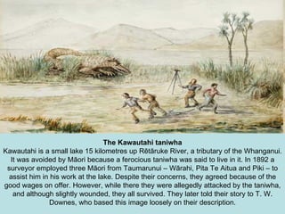 The Kawautahi taniwha Kawautahi is a small lake 15 kilometres up Rētāruke River, a tributary of the Whanganui. It was avoided by Māori because a ferocious taniwha was said to live in it. In 1892 a surveyor employed three Māori from Taumarunui – Wārahi, Pita Te Aitua and Piki – to assist him in his work at the lake. Despite their concerns, they agreed because of the good wages on offer. However, while there they were allegedly attacked by the taniwha, and although slightly wounded, they all survived. They later told their story to T. W. Downes, who based this image loosely on their description. 