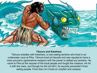 Tāmure and Kaiwhare Tāmure wrestles with Kaiwhare, a man-eating taniwha who lived in an underwater cave at Piha. Tāmure lived at Hauraki and was reputed to have a mere pounamu (greenstone weapon) with the power to defeat any taniwha. He came to Piha at the request of the local people and fought the creature. He hit it with the mere, and though he did not kill it, its wounds prevented it from eating people. From then on it lived on crayfish and octopus. 