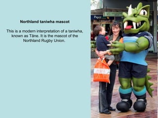 Northland taniwha mascot This is a modern interpretation of a taniwha, known as Tāne. It is the mascot of the Northland Rugby Union.  