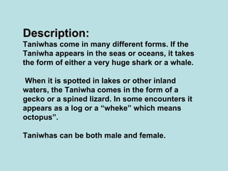 Description: Taniwhas come in many different forms. If the Taniwha appears in the seas or oceans, it takes the form of either a very huge shark or a whale. When it is spotted in lakes or other inland waters, the Taniwha comes in the form of a gecko or a spined lizard. In some encounters it appears as a log or a “wheke” which means octopus”.   Taniwhas can be both male and female. 