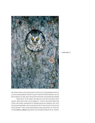 ‫שבו‬ ‫מתמיד‬ "‫חימוש‬ ‫"מרוץ‬ ‫קיים‬ ‫מהן‬ ‫הניזונות‬ ‫החיות‬ ‫לבין‬ ‫בסביבה‬ ‫הנטמעות‬ ‫החיות‬ ‫בין‬
‫כך‬,‫גדלה‬‫בסביבה‬‫ההיטמעות‬‫שיכולת‬‫ככל‬.‫הזמן‬‫כל‬‫יכולותיהם‬‫את‬‫משכללים‬‫הצדדים‬‫שני‬
‫הגדולים‬‫היונקים‬‫רוב‬‫אצל‬.‫ולהפך‬,‫שלהם‬‫והחיפוש‬‫החקרנות‬‫כושר‬‫את‬‫הטורפים‬‫מפתחים‬
."‫לחקור‬ ‫"הדחף‬ ,ֿ‫מוריס‬ ‫דסמונד‬ ‫של‬ ‫בלשונו‬ ‫או‬ ,‫הגילוי‬ ‫דחף‬ ‫הוא‬ ‫השולט‬ ‫הדחף‬
‫דומיננטי‬ ‫לחקור‬ ‫הדחף‬ ‫אולם‬ ,‫והגילוי‬ ‫ההיטמעות‬ - ‫היכולות‬ ‫שתי‬ ‫קיימות‬ ‫האדם‬ ‫אצל‬
‫לשכלל‬ ‫נועדו‬ )‫למשל‬ ,‫(מחבואים‬ ‫ילדים‬ ‫משחקים‬ ‫שבהם‬ ‫רבים‬ ‫משחקים‬ .‫יותר‬ ‫הרבה‬
‫ביותר‬ ‫האהובים‬ ‫המשחקים‬ ‫אחד‬ .‫הבוגרים‬ ‫לחייהם‬ ‫הילדים‬ ‫את‬ ‫ולהכין‬ ‫הללו‬ ‫היכולות‬ ‫את‬
‫מרטין‬ ‫האמריקני‬ ‫המאייר‬ .‫שונים‬ ‫פרטים‬ ‫עמוסת‬ ‫תמונה‬ ‫בתוך‬ ‫מסוים‬ ‫דבר‬ ‫איתור‬ ‫הוא‬
:‫(בעברית‬ Where is Waldo? ‫בשם‬ ‫העולם‬ ‫בכל‬ ‫שהצליחה‬ ‫ספרים‬ ‫סדרת‬ ‫יצר‬ ‫הנדפורד‬
>> ‫מסתתר‬ ‫ינשוף‬ 9.1
 