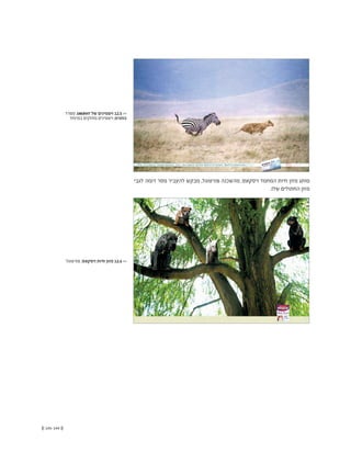 (( 145-144 ))
‫לגבי‬ ‫דומה‬ ‫מסר‬ ‫להעביר‬ ‫מבקש‬ ,‫פורטוגל‬ ‫מהשכנה‬ ,‫ויסקאס‬ ‫המחמד‬ ‫חיות‬ ‫מזון‬ ‫מותג‬
.‫שלו‬ ‫החתולים‬ ‫מזון‬
‫ספרד‬ ,ENERVIT ‫של‬ ‫ויטמינים‬ 12.5 <<
‫במיוחד‬ ‫מחזקים‬ ‫ויטמינים‬ :‫כותרת‬
‫פורטוגל‬ ,‫ויסקאס‬ ‫חיות‬ ‫מזון‬ 12.6 <<
 