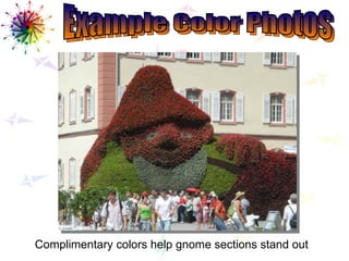 Example Color Photos Example Color Photos Complimentary colors help gnome sections stand out 